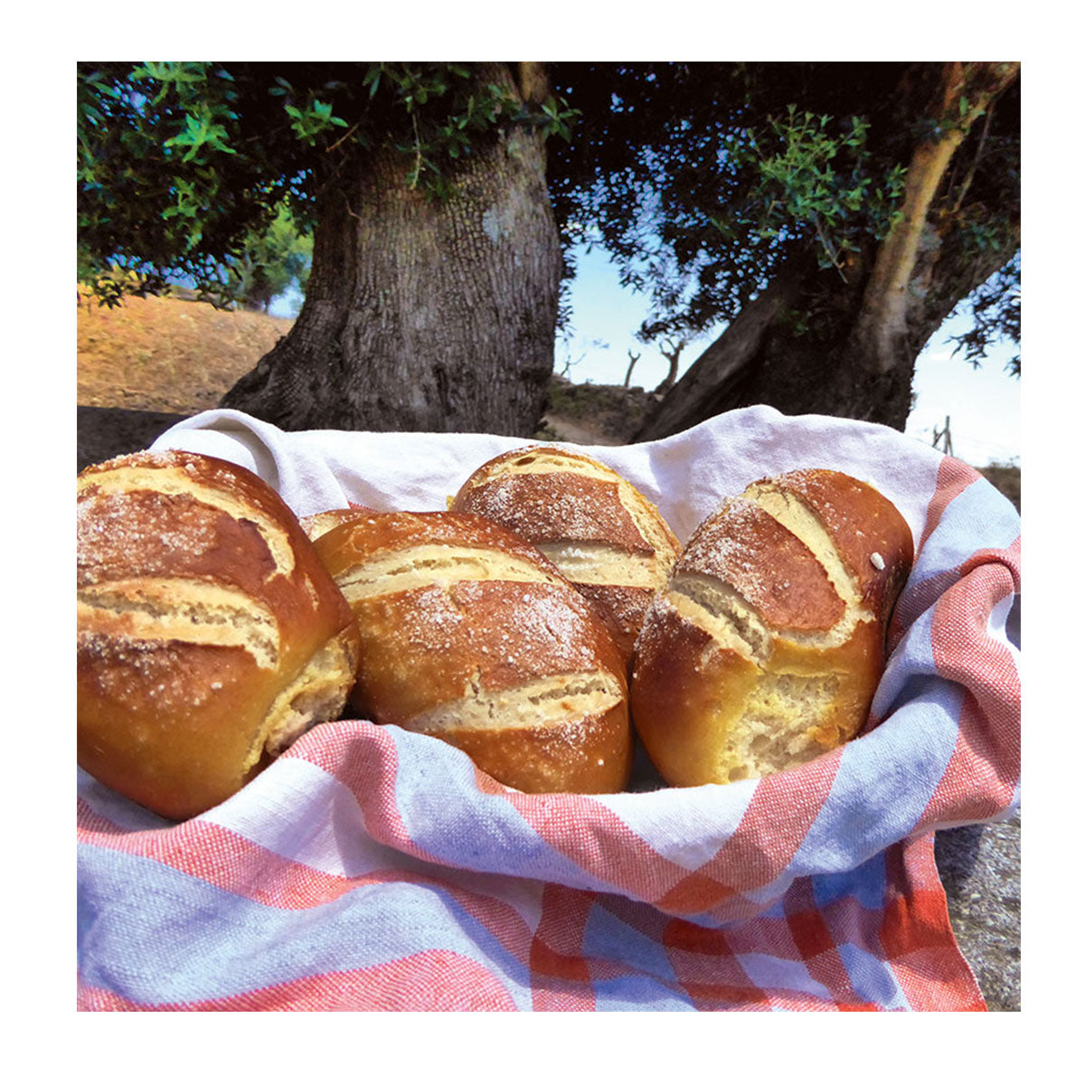 Brot backen - einfach & lecker - Kochbuch für den RoadBaker und OMNIA Campingbackofen