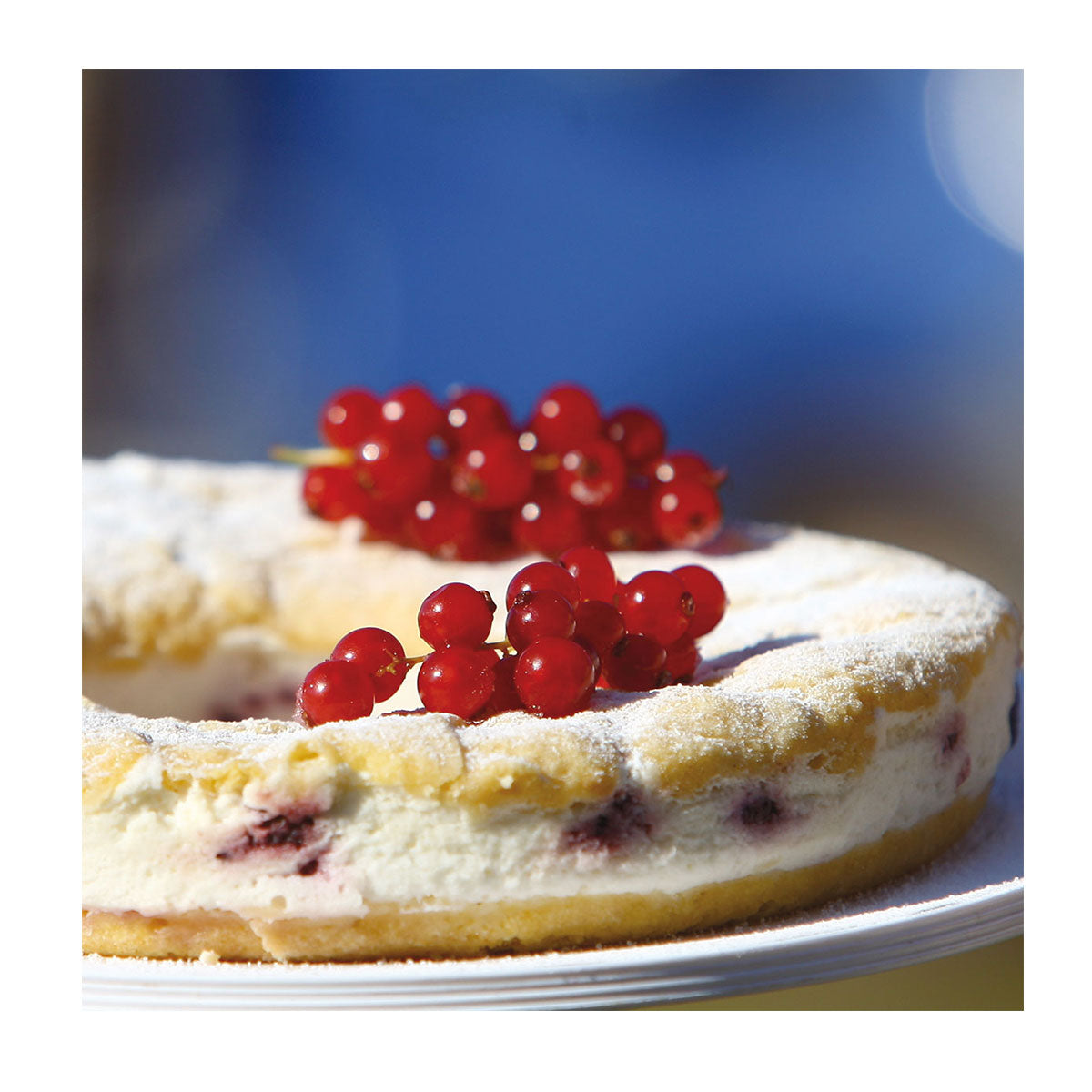 Feine Leckereien Kuchen & Torten - Kochbuch für den RoadBaker und OMNIA Campingbackofenackofen